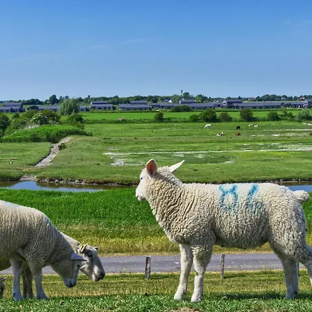 Gud Jard Nr 12 - Design-ferienhaus Mit Exklusiver Ausstattung
